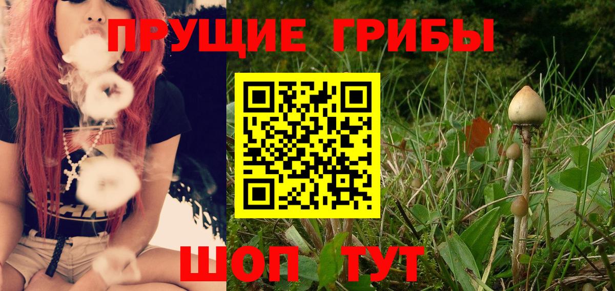 Галлюциногенные грибы прущие грибы  Вход с VPN  Изобильный 