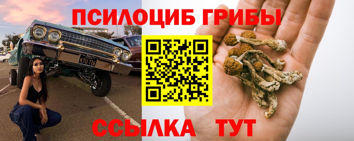 Псилоцибиновые грибы ЛСД Изобильный